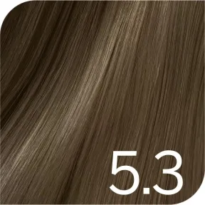 Revlon Professional Revlonissimo Color Excel Tone On Tone Ammonia Free Hair Colour 5.3 Light Golden Brown 70ml